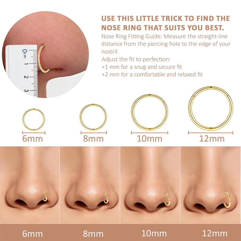 16G 316L サージカルスチール製ヒンジ付きクリッカーノ - Body Jewelry And Piercing のレビューと価格