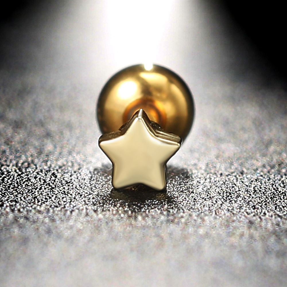 ヘリックスピアス,1ピース,イヤリング,ジルコン,小さな星型 - Helix Cartilage Ring のレビューと価格