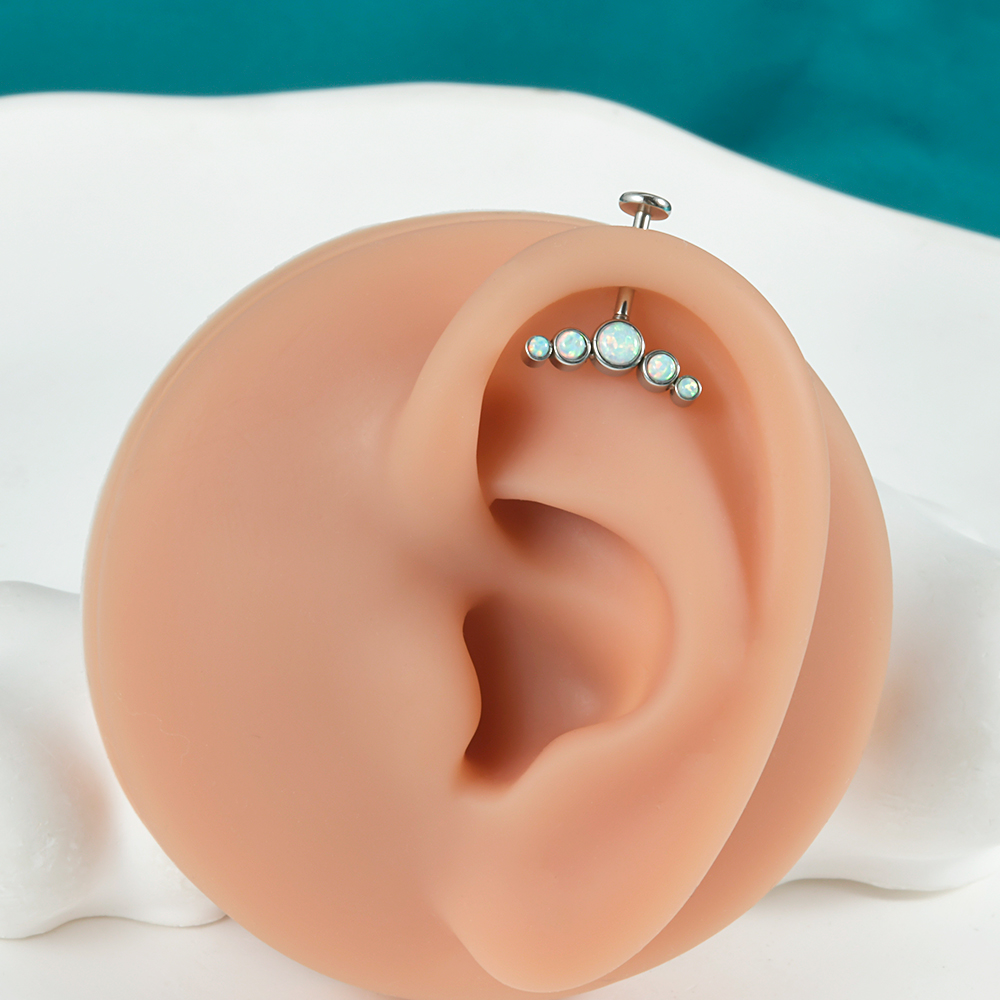 外科用鋼ピアスジュエリー、cz gem、スレッドレスラブレッ - Helix Cartilage Ring のレビューと価格
